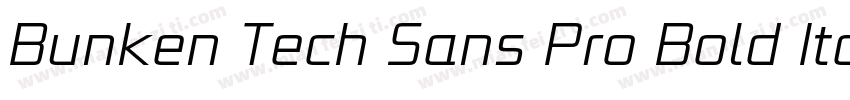 Bunken Tech Sans Pro Bold Italic字体转换